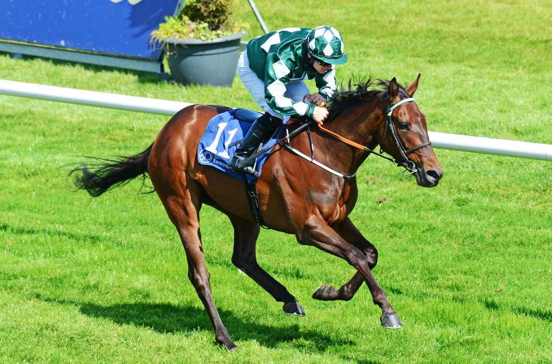 King's Stand test next for Mooneista - Vimarsana News