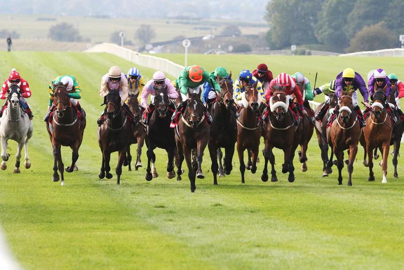 Huge boost for Irish Cesarewitch with €600,000 pot now up for grabs - Vimarsana News