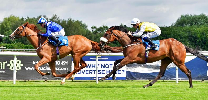DONN MCCLEAN: Back this 9/2 shot to continue trainer's red hot form 27 May 2022 Free - Vimarsana News