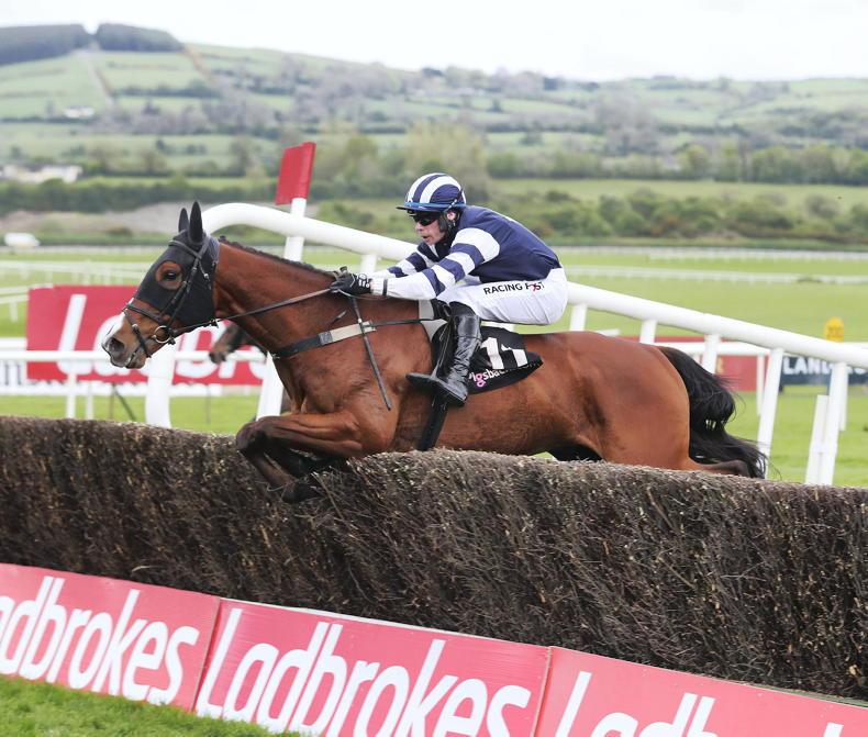 PUNCHESTOWN SUNDAY: Smart Snugsborough can prevail back at Punchestown - Vimarsana News