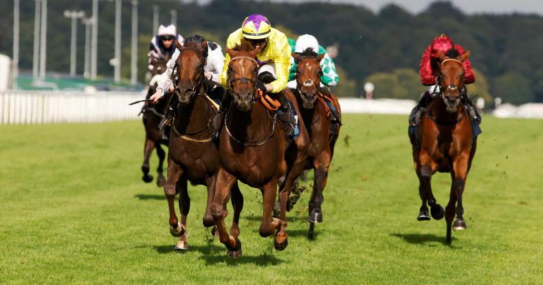 RORY DELARGY: "I really like this 20/1 shot each-way at the prices" 27 May 2022 Free - Vimarsana News