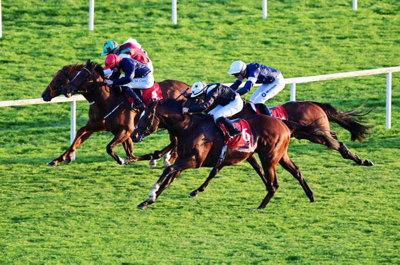Exciting Martinstown to take on King George V Cup on Thursday - Vimarsana News