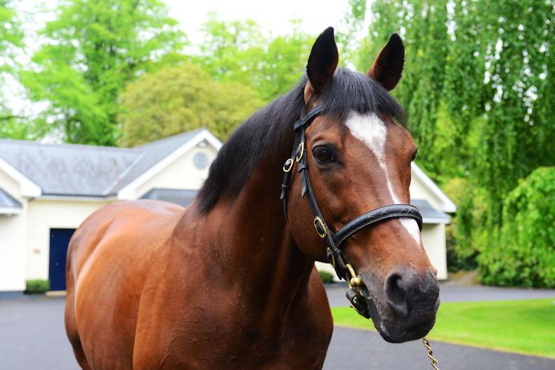 NEWS : Galileo triumphs in public vote into Hall of Fame - Vimarsana News