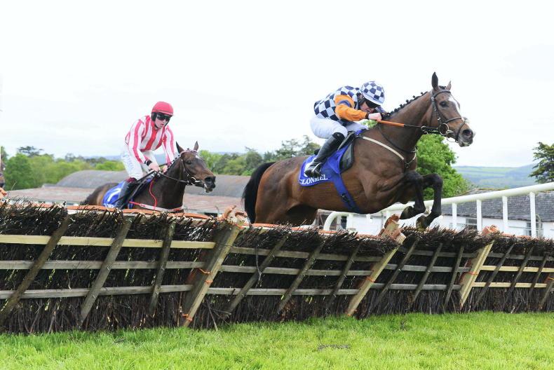 TRAMORE SATURDAY: Stick with Steppenwolf to build on impressive Clonmel win - Vimarsana News