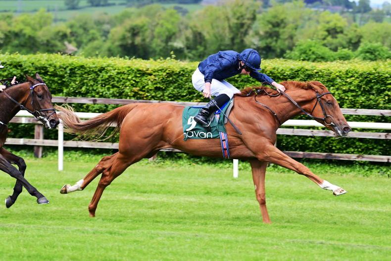 SIRE FOCUS: Ideal start for Triple Crown winner - Vimarsana News