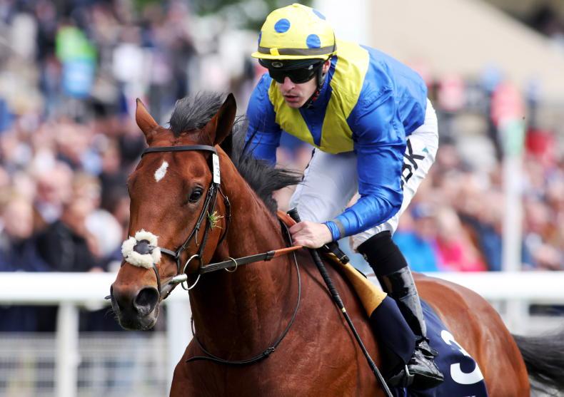 RACING CENTRAL: O'Briens in the way of Stoute's sixth Crown - Vimarsana News
