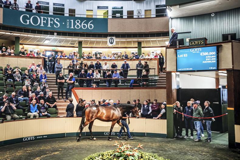 SALES: Altior half-brother sells for €300,000 - Vimarsana News