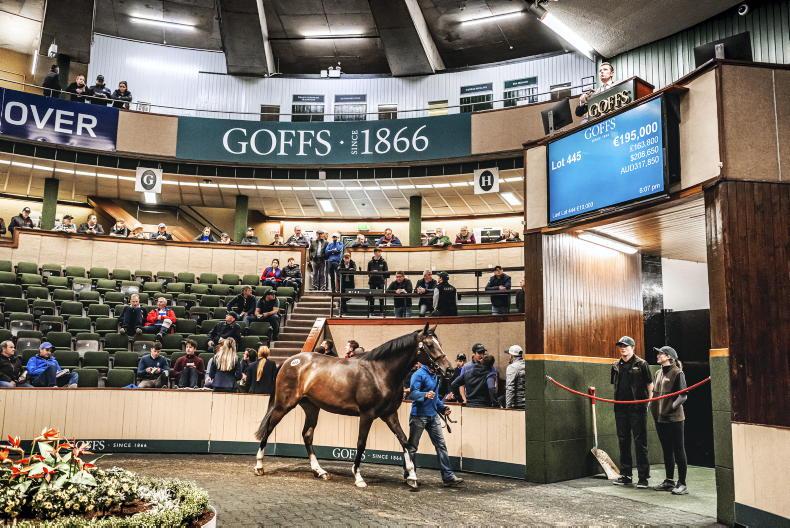 SALES Over €20 million spent at recordbreaking Goffs Land Rover Sale