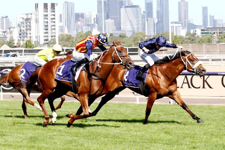 ROYAL ASCOT PREVIEW: Ward ready for Golden showdown - Vimarsana News