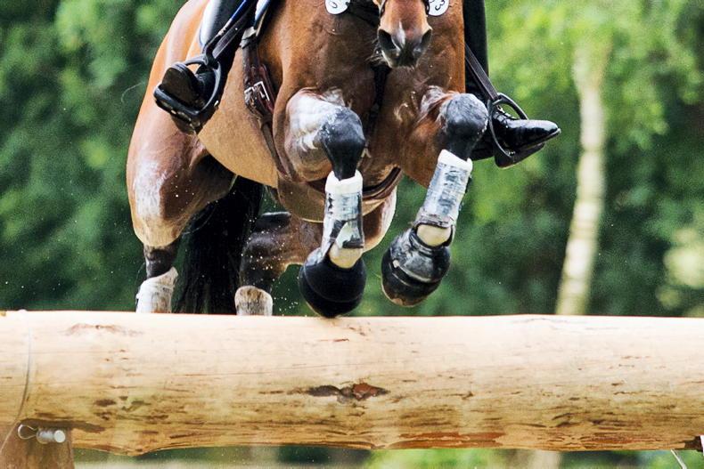 LETTER TO THE EDITOR: Disappointed breeder - Vimarsana News