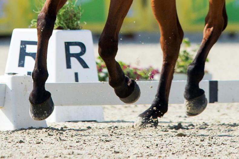 NEWS: Lyle qualifies second horse for Herning - Vimarsana News
