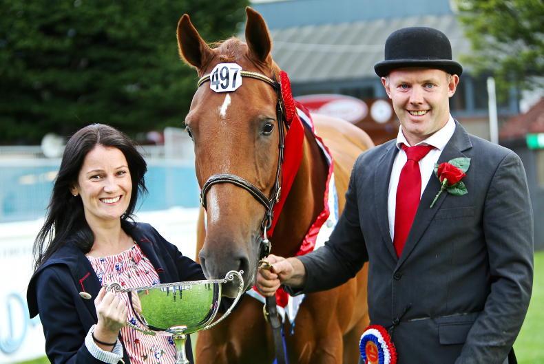 BREEDERS' 10 – Brian Daly: 'Always be the biggest critic of your own stock' 17 June 2022 Free - Vimarsana News