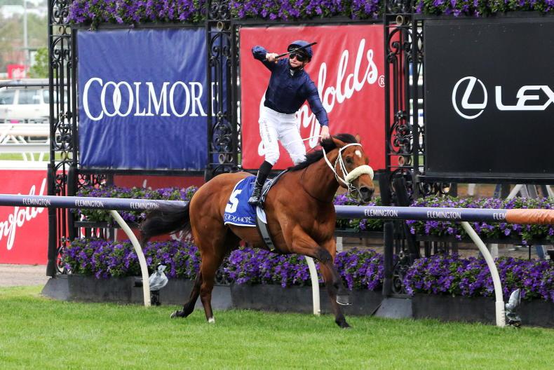 Massive field of 27 in Saturday feature - Vimarsana News