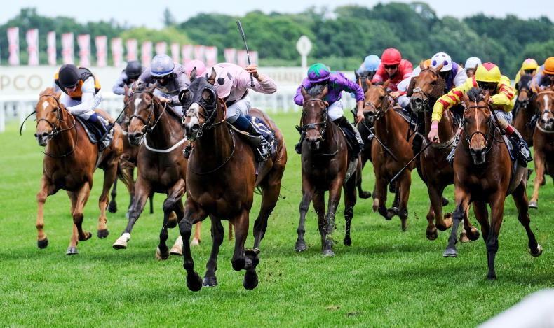 RORY DELARGY: "I'll be very disappointed if he can't reward each-way support" 17 June 2022 Free - Vimarsana News