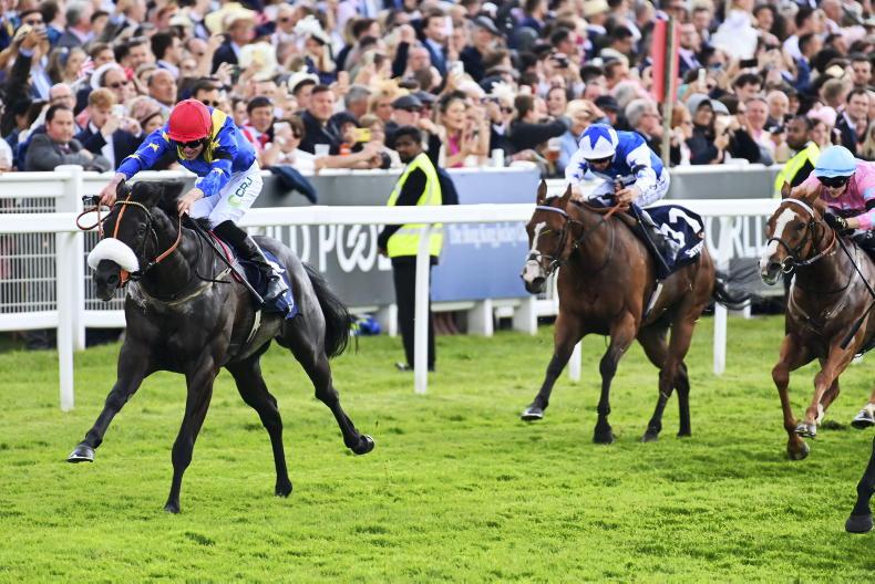 CURRAGH: Raiders can claim Rockingham through in-form Tees Spirit - Vimarsana News
