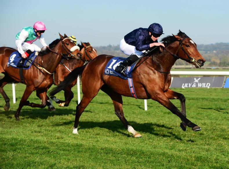 RACING CENTRAL: Tuesday adds much needed spice to Irish Derby - Vimarsana News