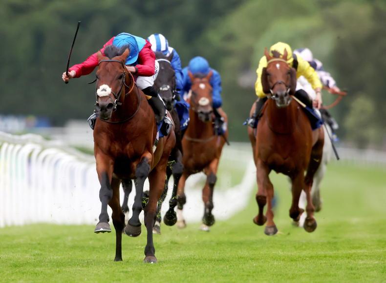 DONN MCCLEAN: A return to Sandown favours Stoute runner? - Vimarsana News