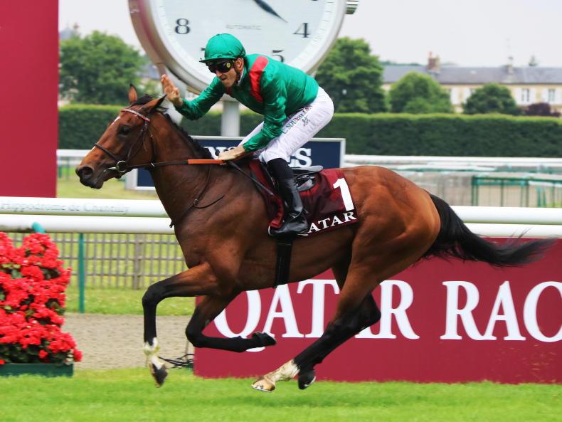 Vadeni claims famous Eclipse victory for France - Vimarsana News
