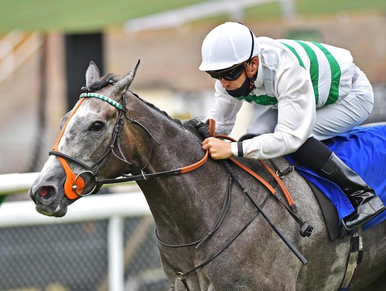 Alpinista makes winning return in Saint-Cloud - Vimarsana News