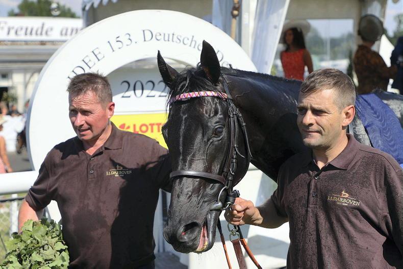 BREEDING INSIGHTS: Ten-up for Camelot with latest classic win - Vimarsana News