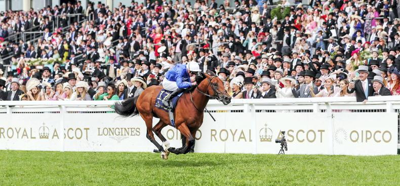 DONN MCCLEAN: How to split the Godolphin pair in July Cup - Vimarsana News