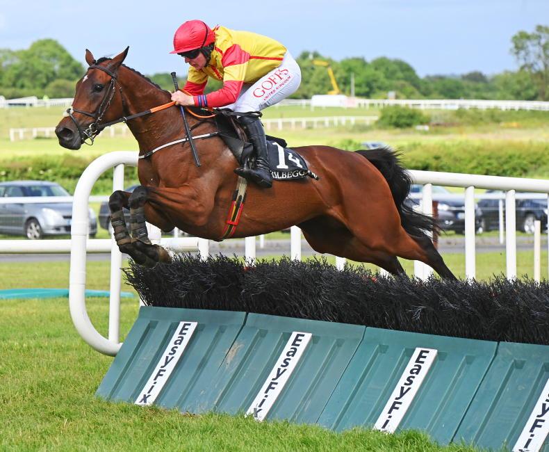 SLIGO SUNDAY PREVIEW: Dove can fly west for handicap success - Vimarsana News