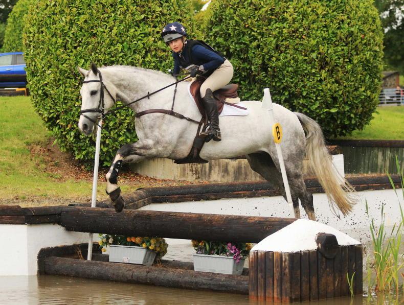 YOUNG EVENTHORSE SERIES: Slater and Gibbons share the spoils - Vimarsana News