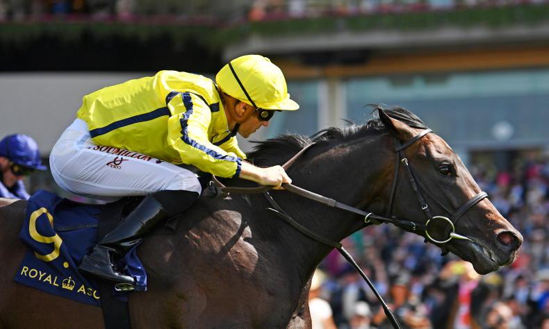 RACING CENTRAL: Speed and Power on the Newmarket menu - Vimarsana News