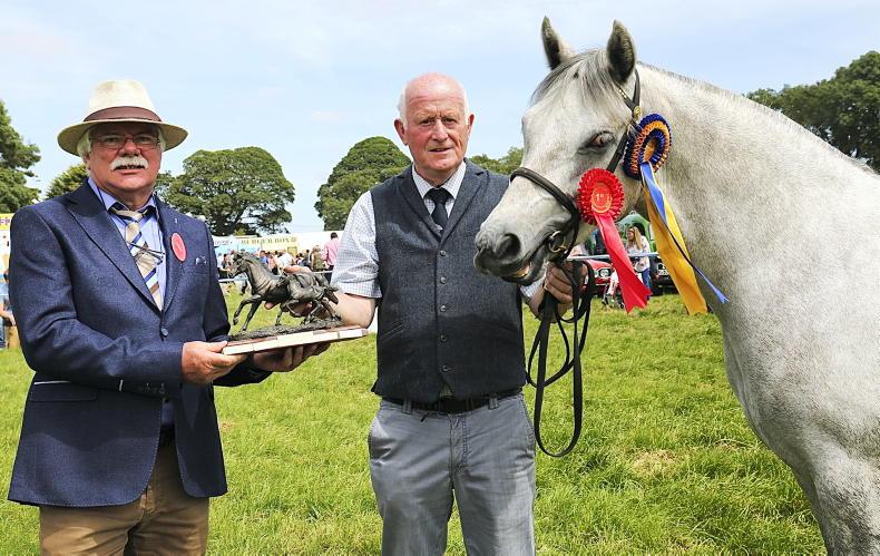 BREEDERS' 10 - James Naan: "Clifden win is something I will cherish forever' - Vimarsana News