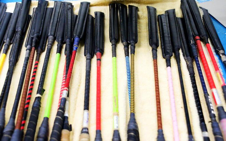 New whip rules: What you need to know - Vimarsana News