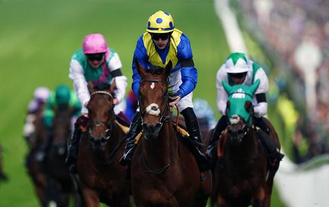 Desert Crown doubt for King George - Vimarsana News