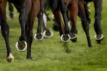 National Horseracing College sustains significant damage after fire - Vimarsana News