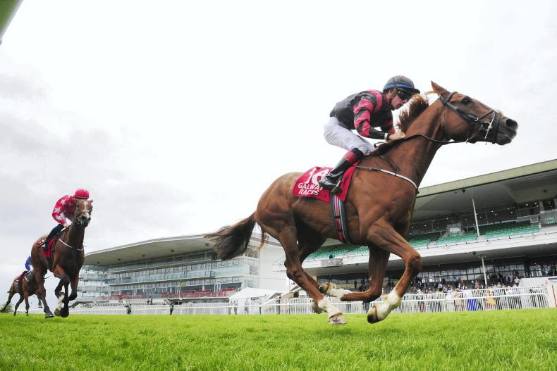 TALKING TRAINER: Galway special - Vimarsana News