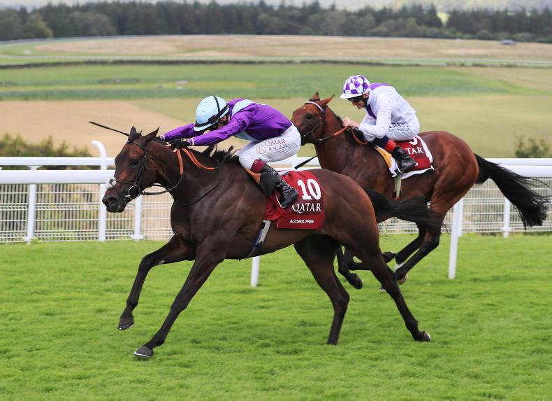 GOODWOOD: Rory Delargy's four horses to follow 25 July 2022 Free - Vimarsana News