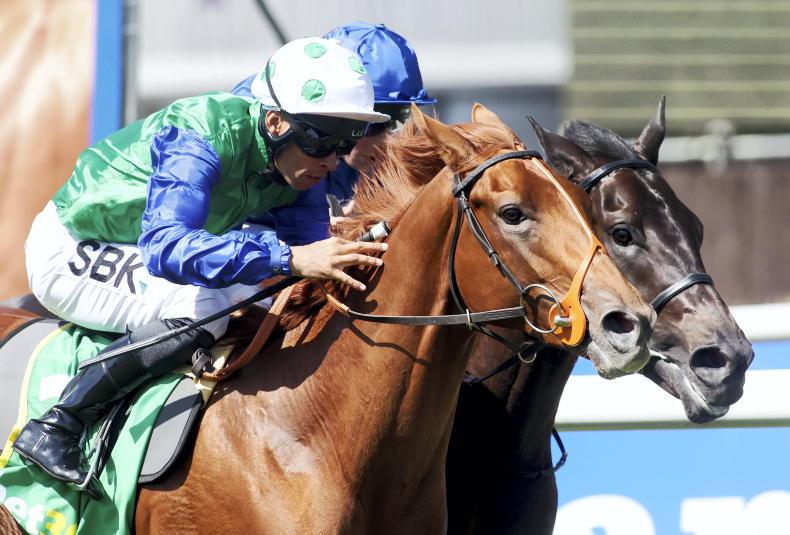 SALES: Premier Yearling Sale catalogue released - Vimarsana News