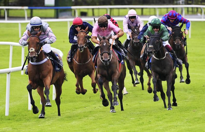 Proposals made from industry heavyweights to BHA on British racing's future - Vimarsana News
