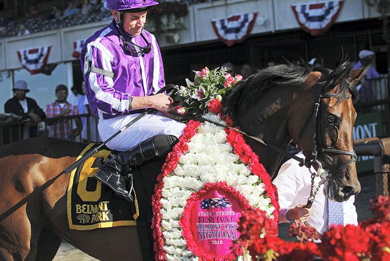 BREEDING INSIGHTS: Classic hopefuls unleashed - Vimarsana News