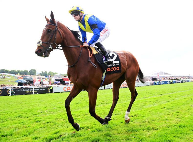 Desert Crown looks set to miss the remainder of the season - Vimarsana News