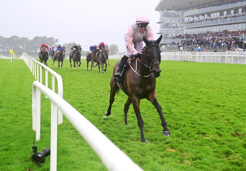 GALWAY FRIDAY: Sionnach rules supreme for a Murphy success - Vimarsana News