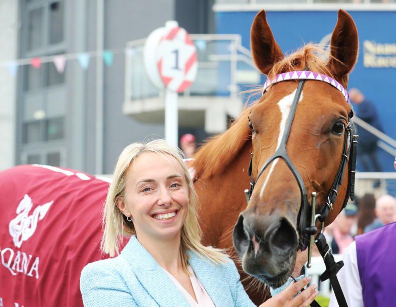Haynes sets out Breeders' Cup ambition for Lady Hollywood - Vimarsana News