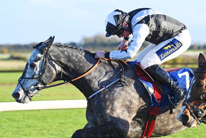 DOWNPATRICK SUNDAY: Well treated Plan looks the Only One to concentrate on - Vimarsana News