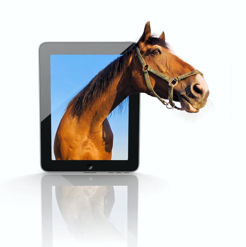 Study Equine Science and Management online - Vimarsana News