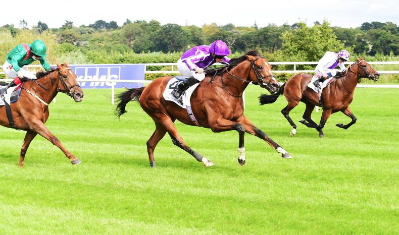 Bahrain Turf Club announced as Irish Champion Stakes Sponsor - Vimarsana News