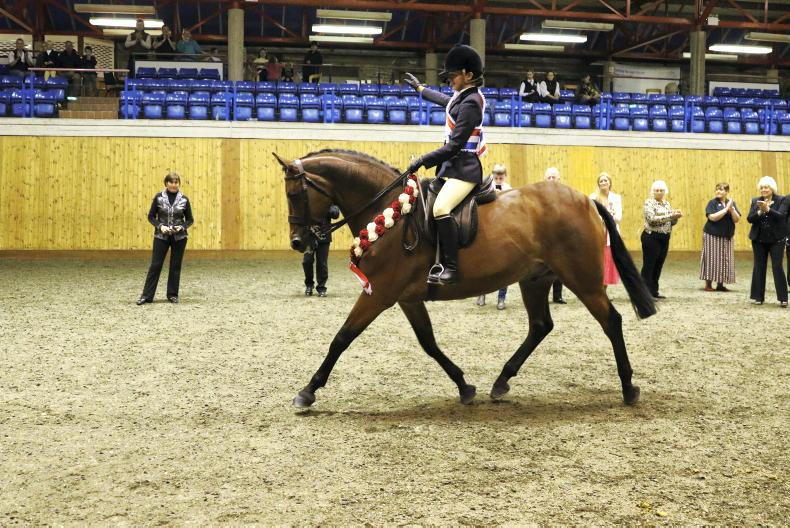 IRISH PONY SOCIETY: 'Wyse' decision results in top win - Vimarsana News
