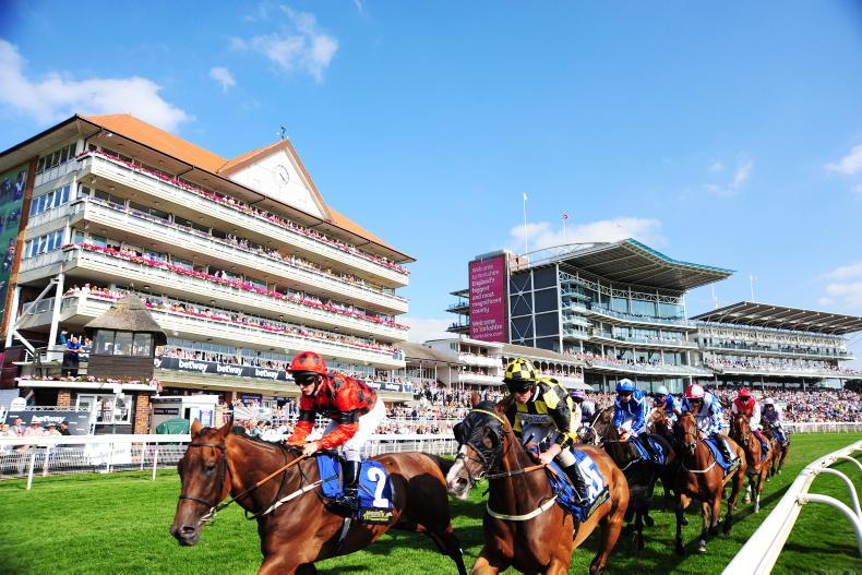 RORY DELARGY'S YORK PREVIEW: Another for Ireland in the Ebor? - Vimarsana News