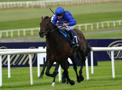 Native Trail 'thriving' ahead of York test - Vimarsana News