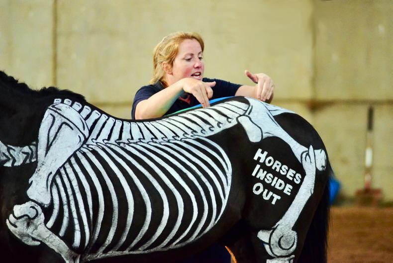 HORSE SENSE: Bring on the painted horses - Vimarsana News