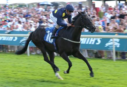Tate counting down the hours to the Nunthorpe with Royal Aclaim - Vimarsana News