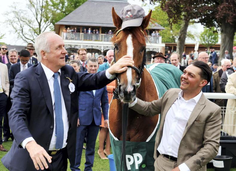 Stradivarius favourite for another York success - Vimarsana News