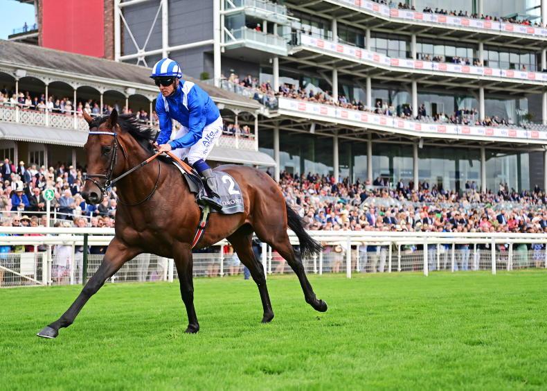 Leopardstown not ruled out for Baaeed - Vimarsana News